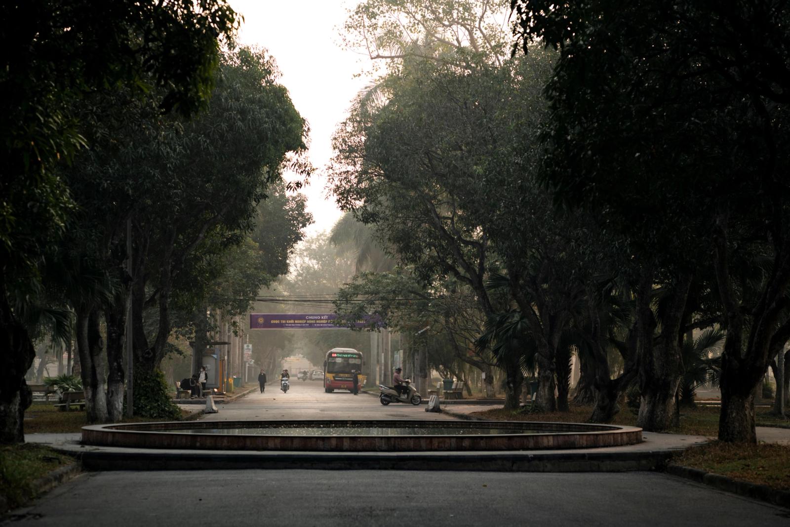 A serene morning scene in Hanoi, Vietnam, featuring a misty street lined with trees and motorcycles