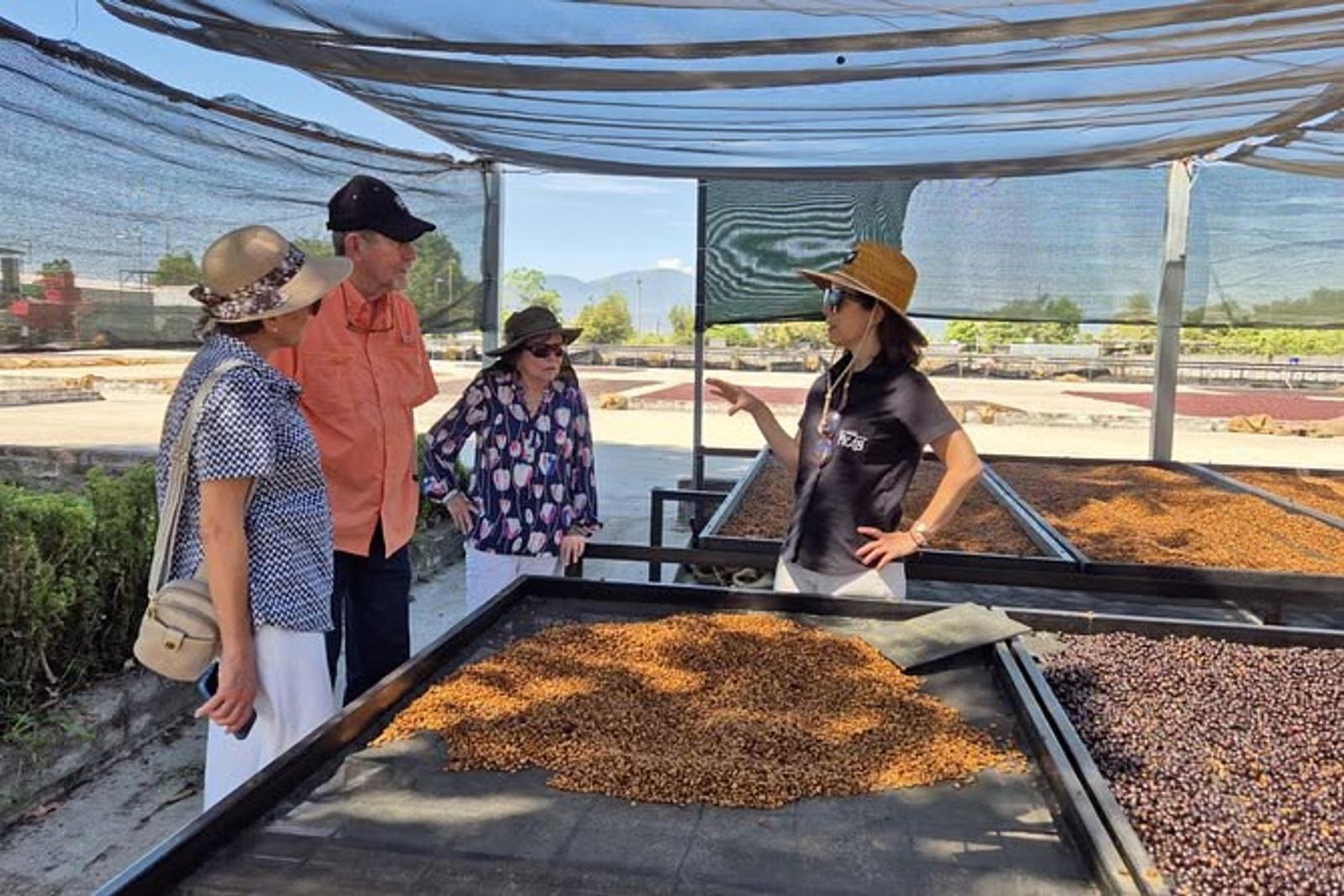 Coffee-estate trail & cupping