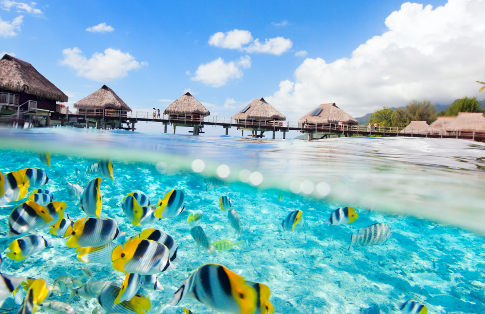 An overwater scene in Tahiti