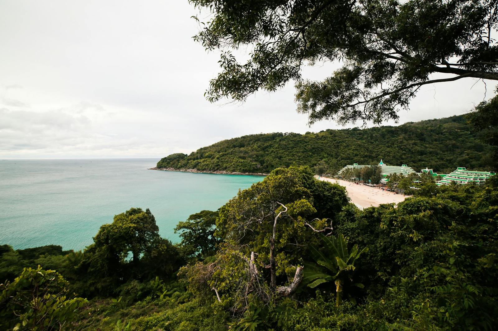 A turquoise bay and sandy beach seen through trees from a hillside overlook