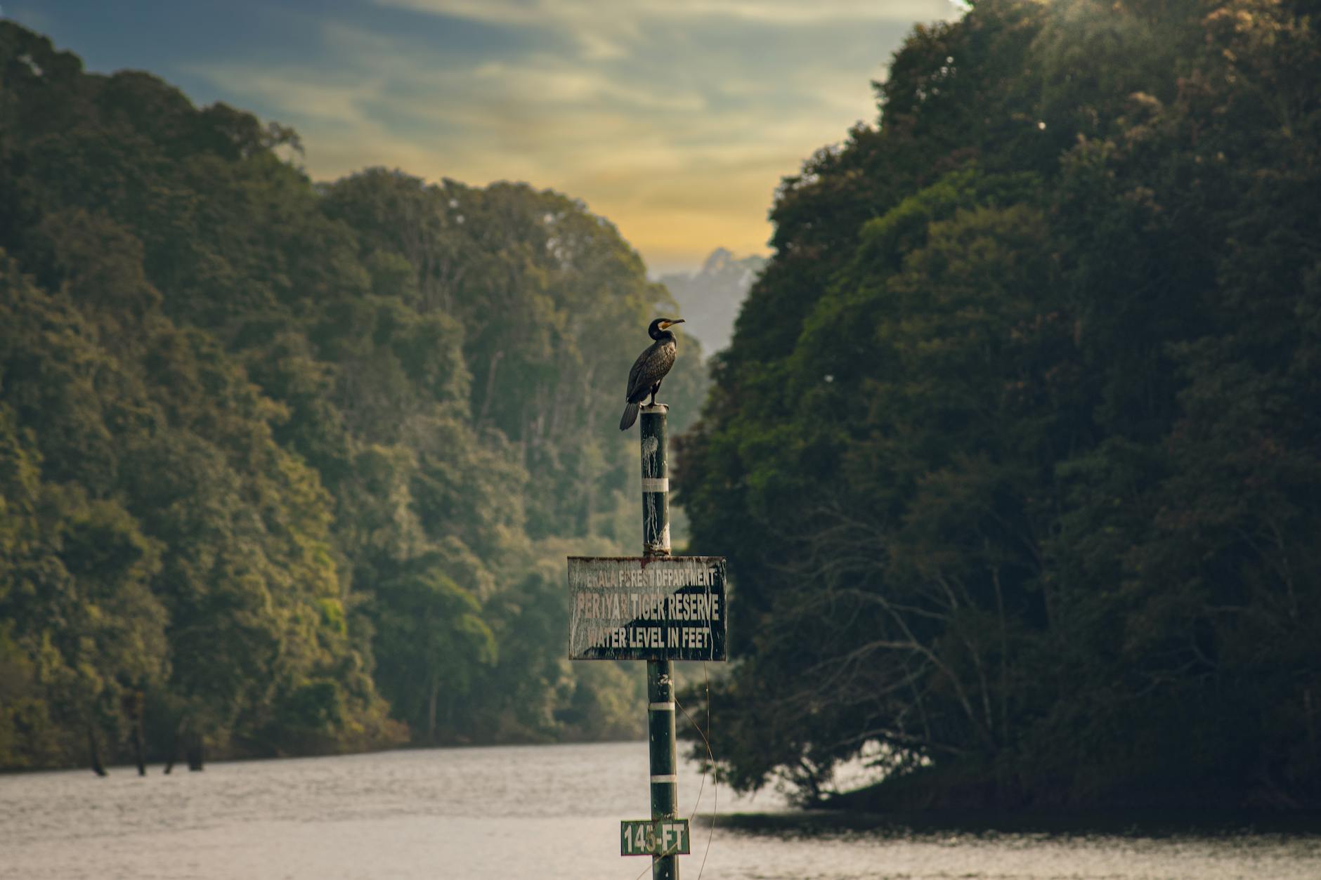 Periyar boat — Thekkady, India