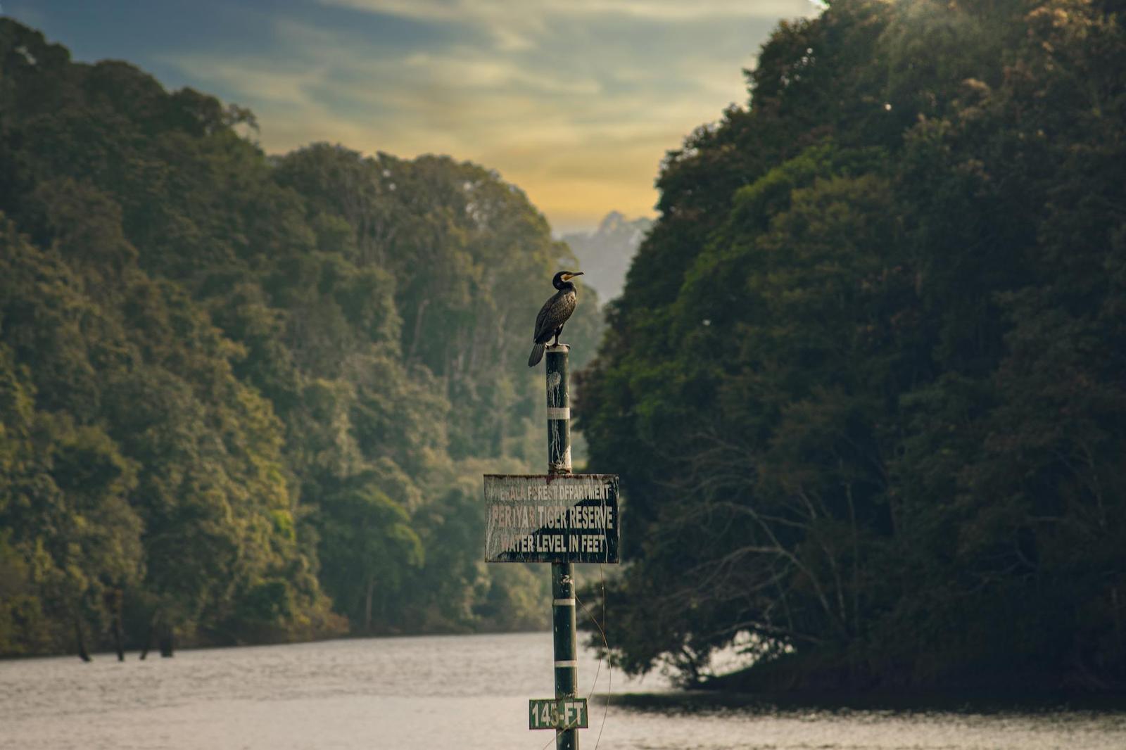 Periyar boat — Thekkady, India