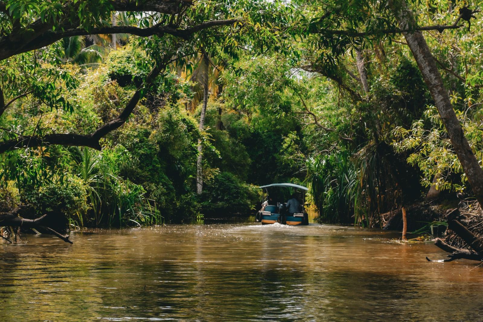 Experience tranquility on a boat ride through lush green backwaters of Kumarakom, Kerala, India