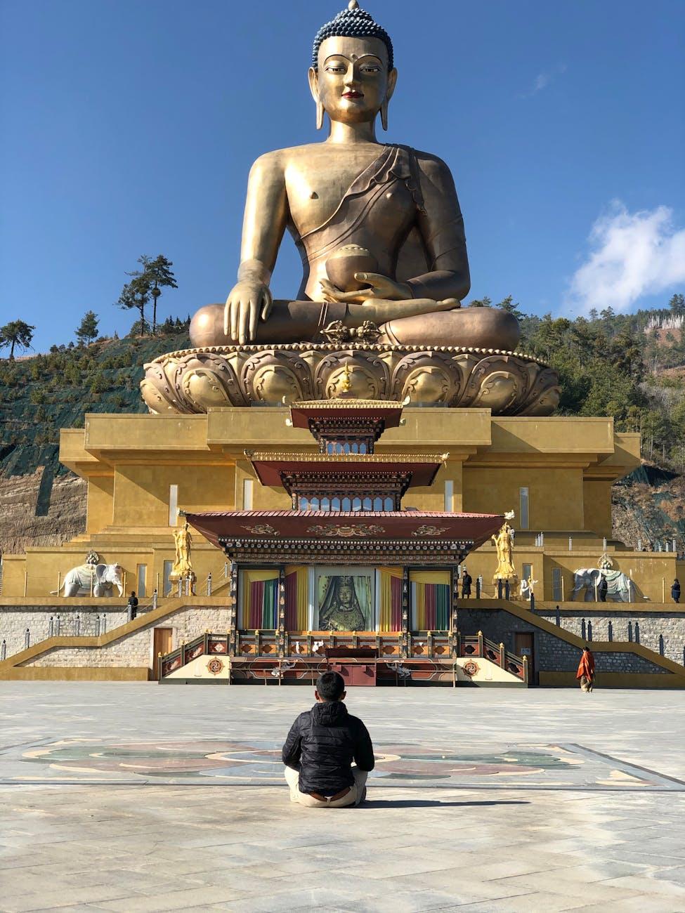 A large Buddha statue in an outdoor temple setting