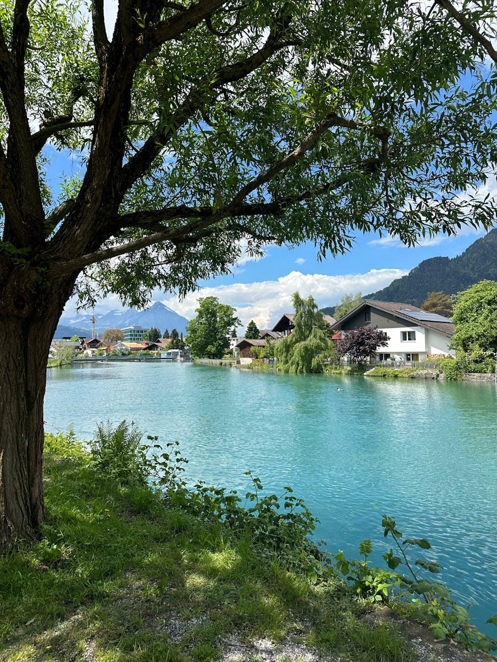 Tranquil view of Interlaken's lakefront with mountains and charming houses