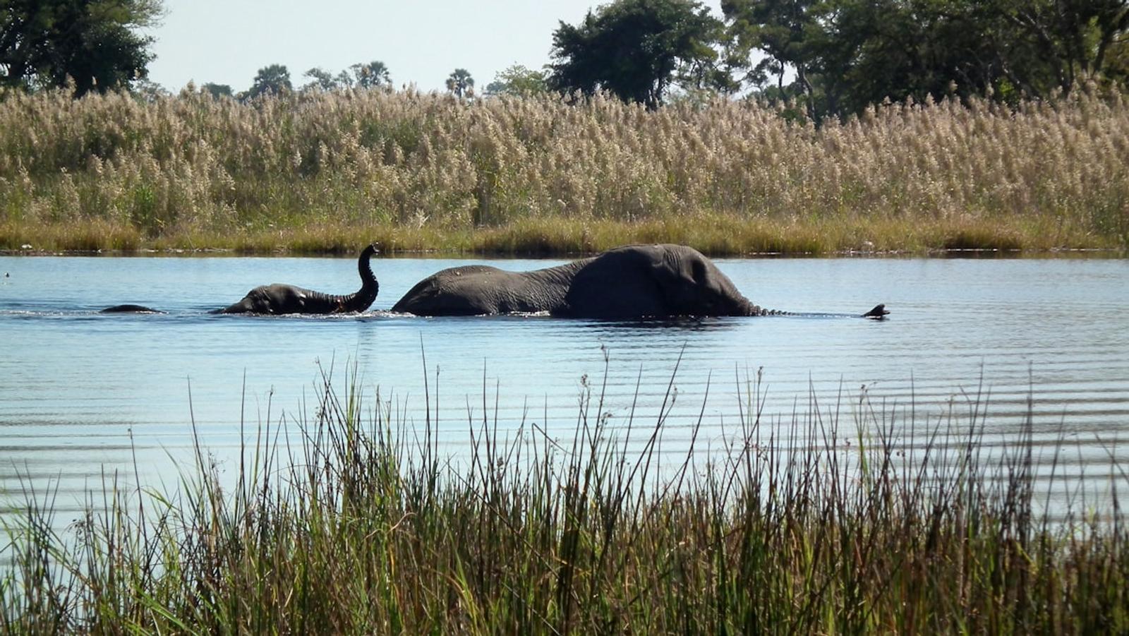 Botswana