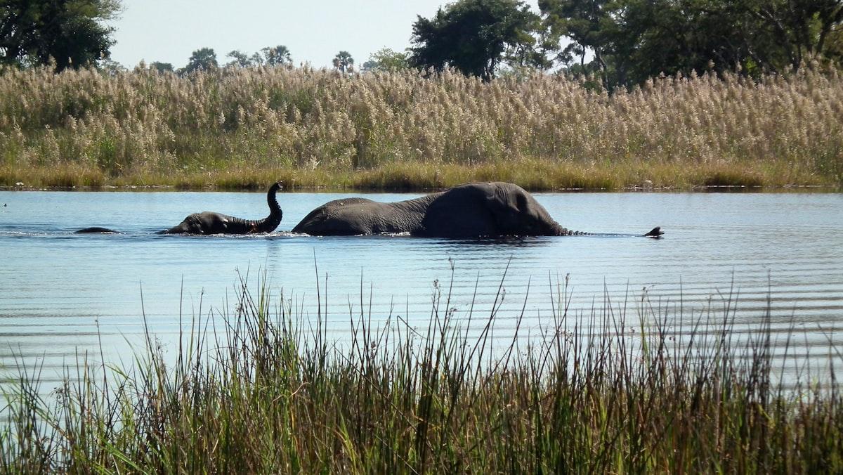 Botswana