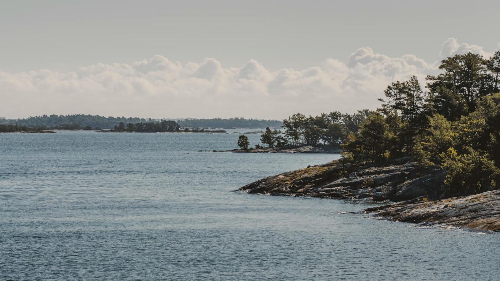 A rocky forested shoreline meeting calm open water under clouds