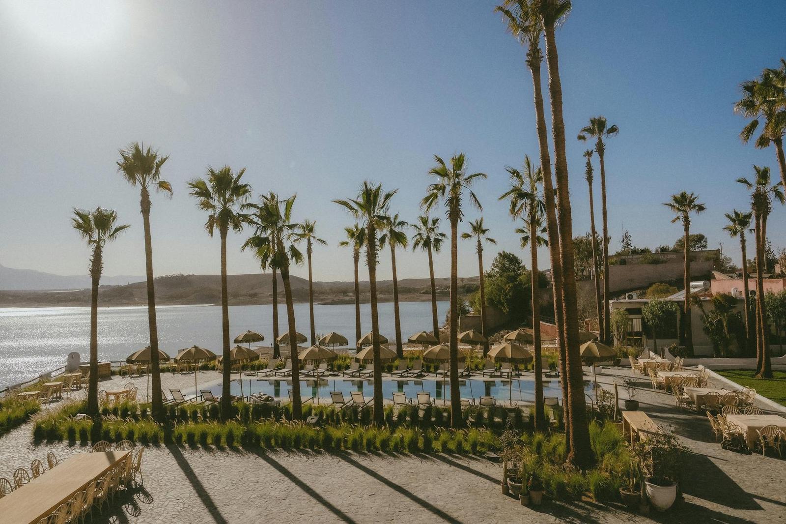 A row of tall palm trees beside a lakeside resort pool at sunset