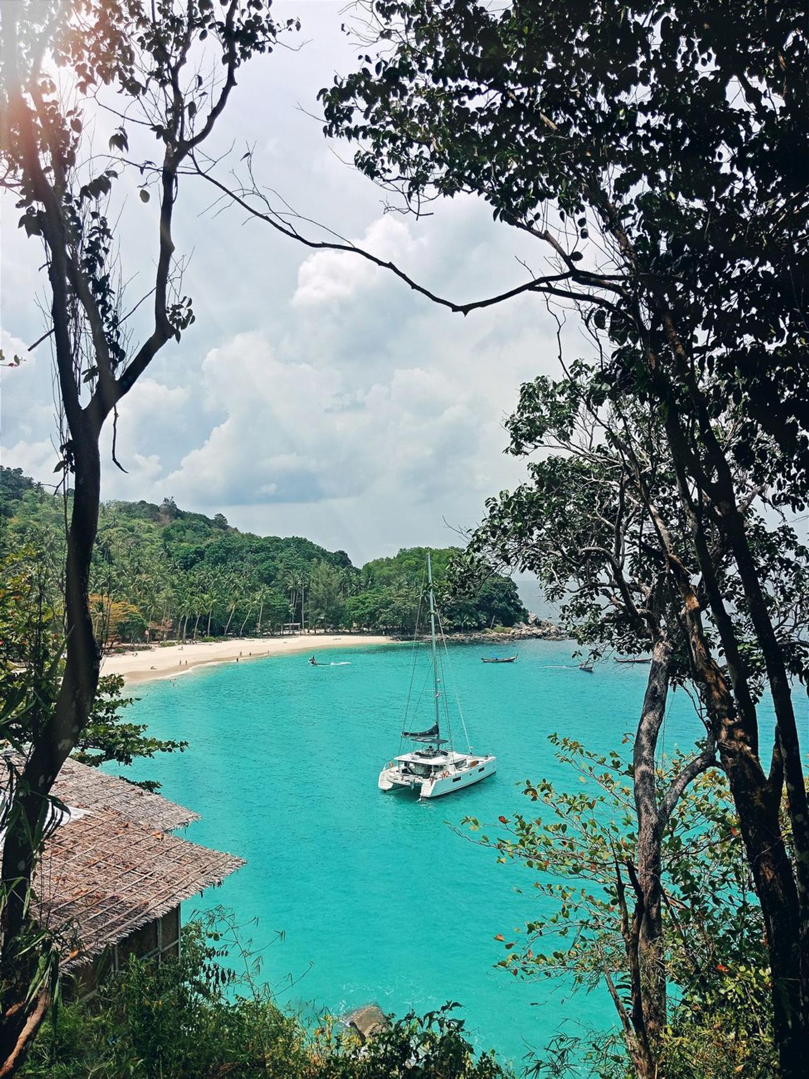 Catamaran anchored in a turquoise cove framed by overhanging branches