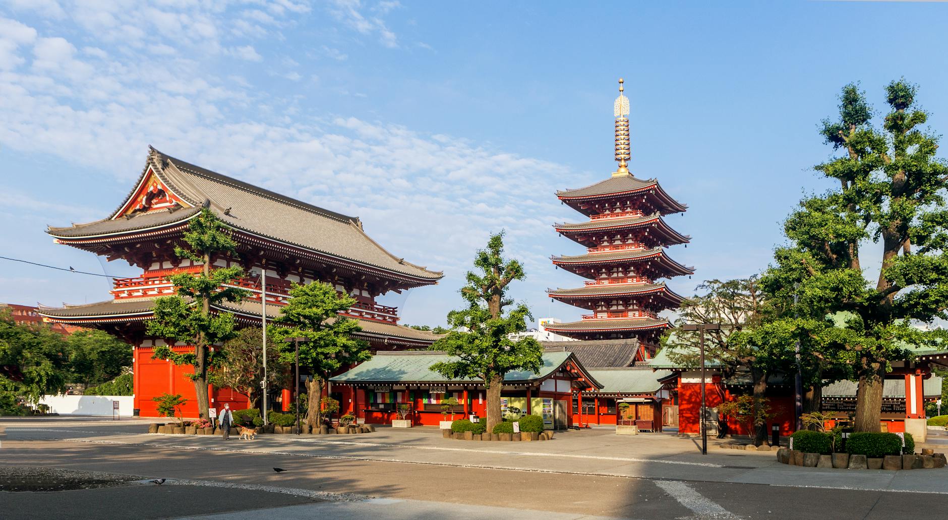 Full Day Tokyo Sightseeing Tour Visit (B) on day 2, Japan