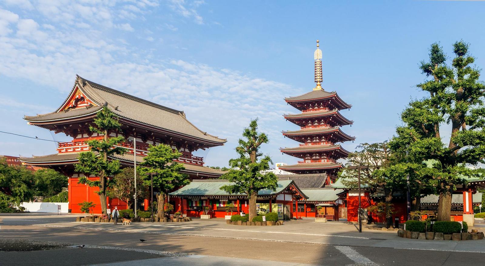 Full Day Tokyo Sightseeing Tour Visit on day 2, Japan
