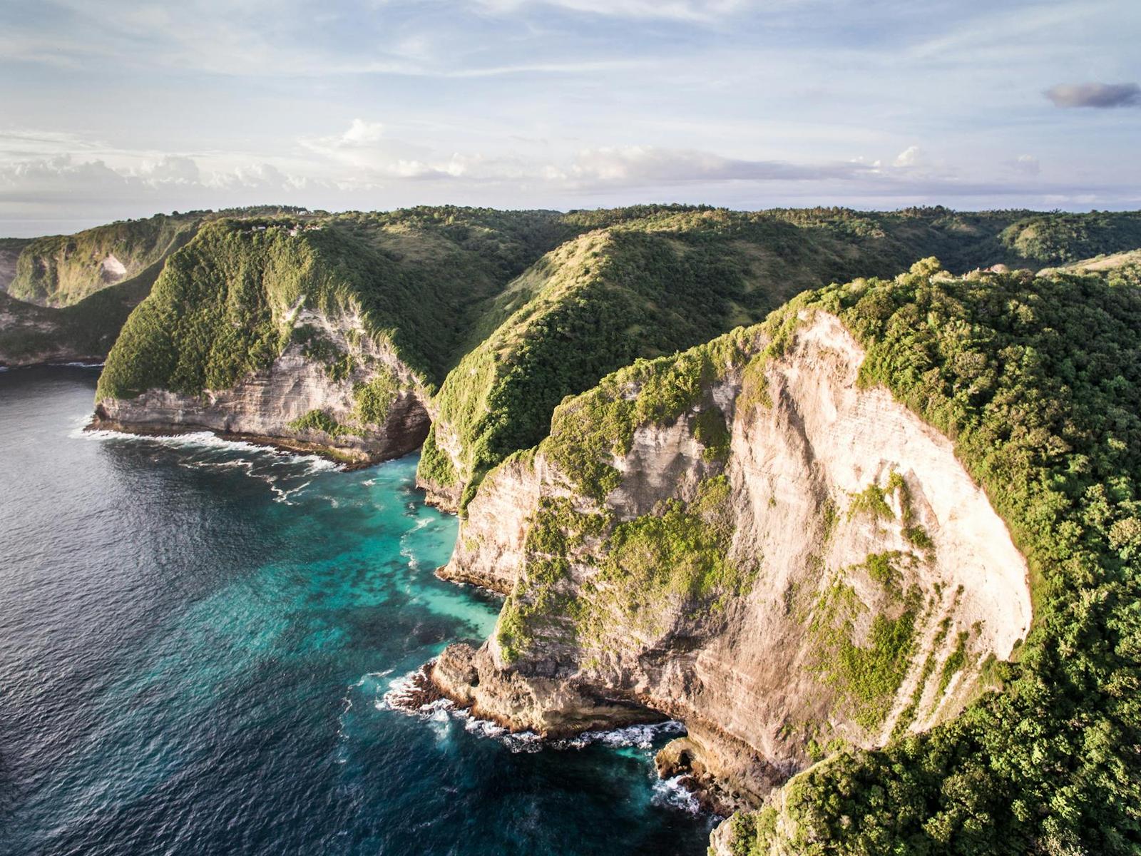 Aerial view of forested cliffs meeting a turquoise inlet