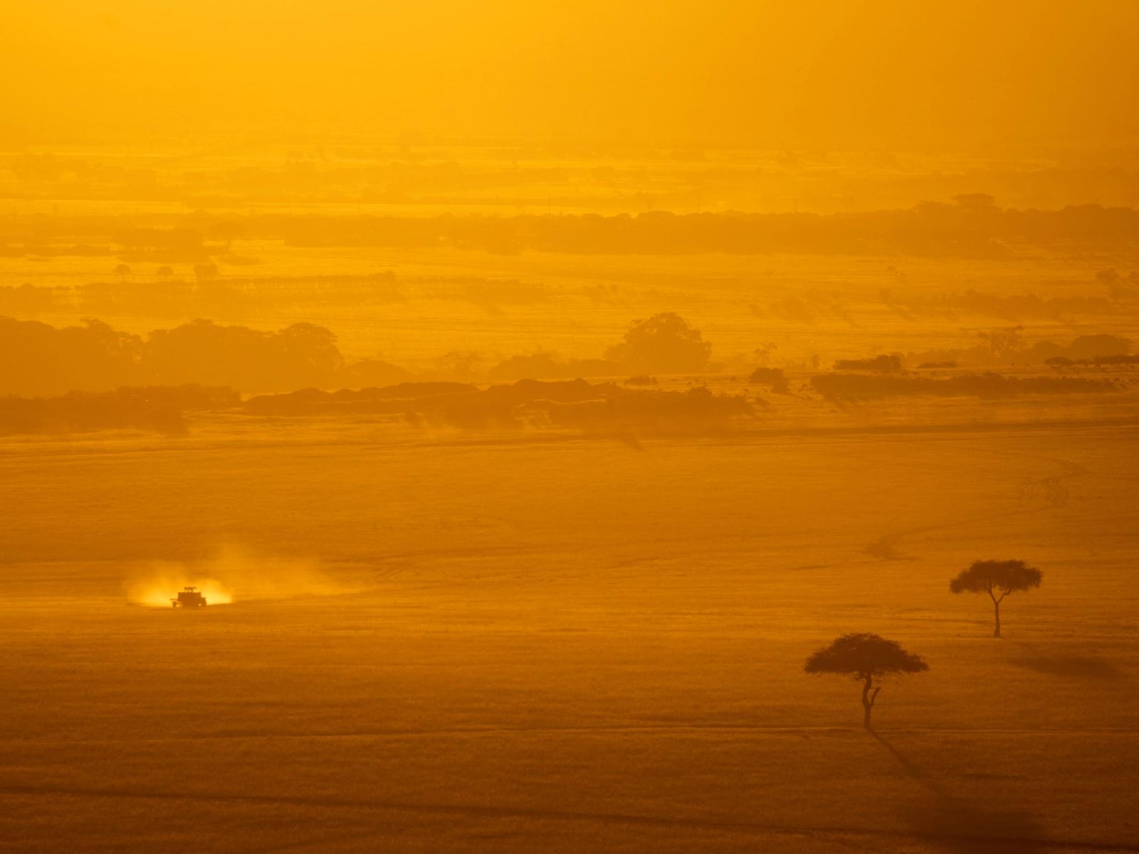 A safari vehicle kicking up dust across golden plains at sunset