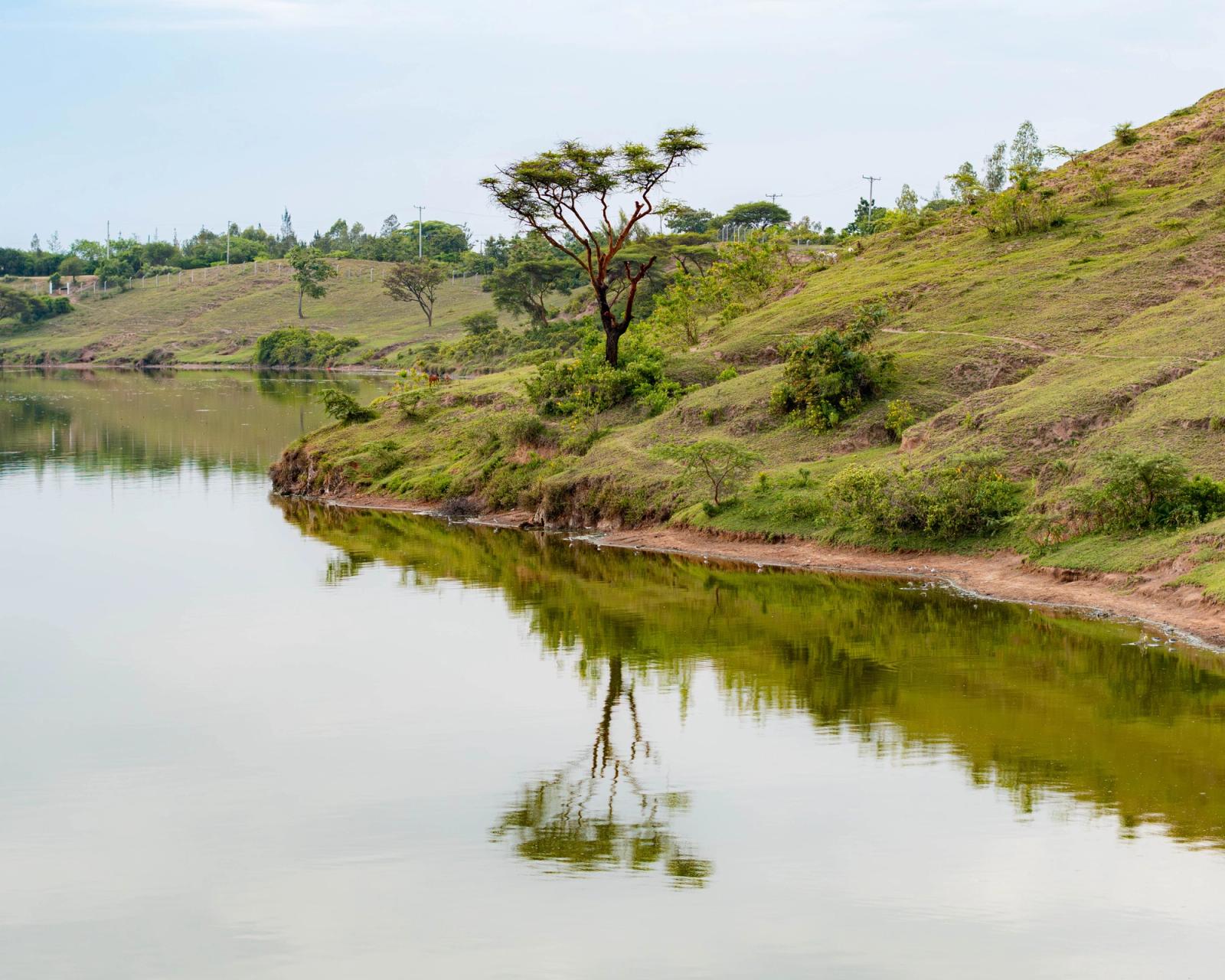 Serene landscape of a riverbank with tree reflections in Kendu Bay, Kenya