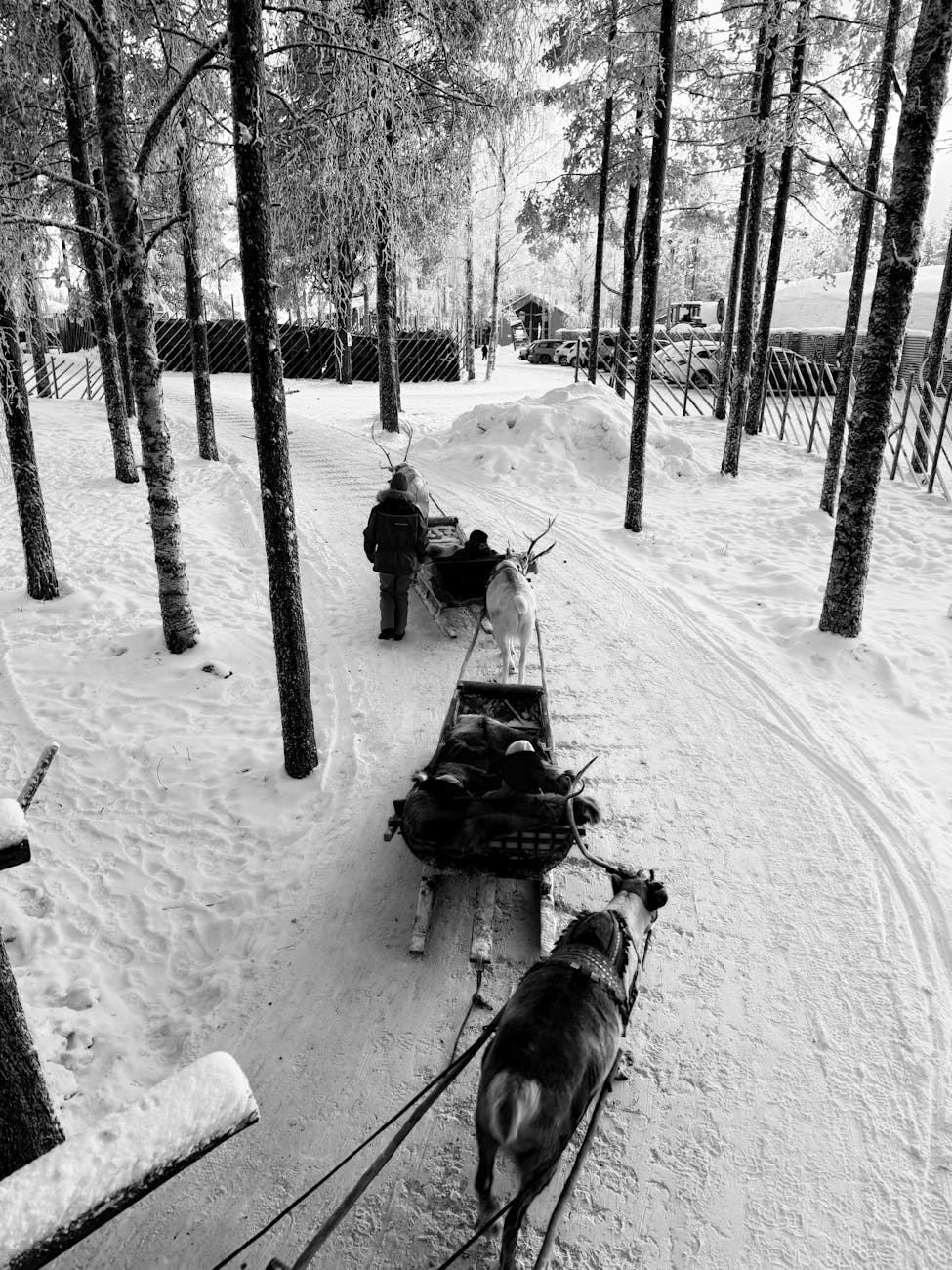 Husky Farm Sleigh Ride — Finland