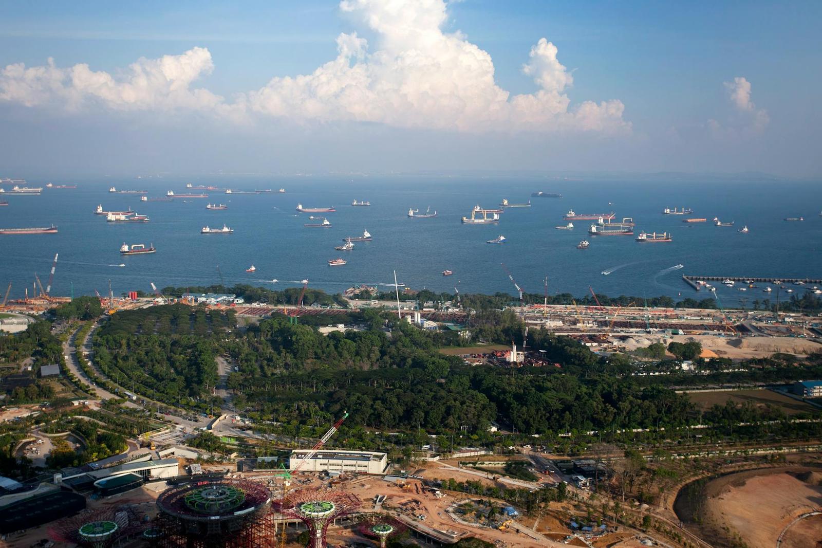Aerial view of cargo ships anchored offshore beyond a green harbourfront park