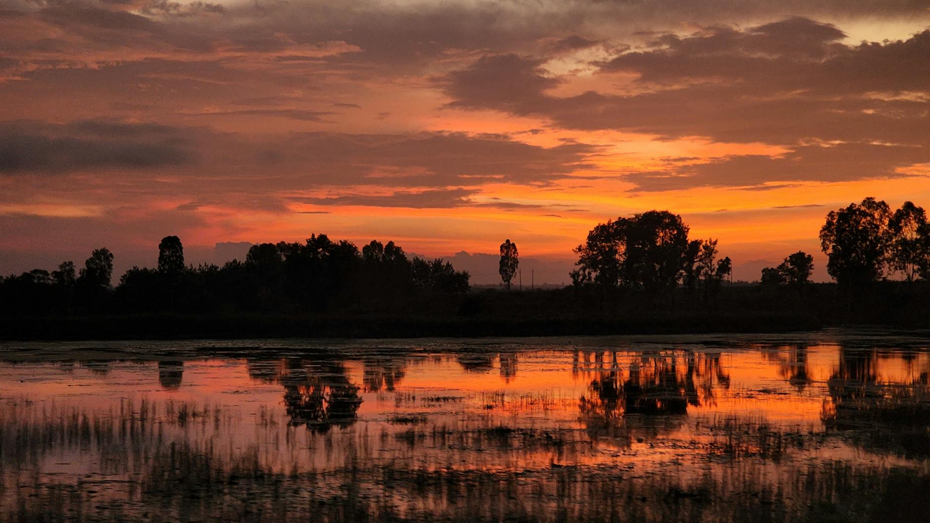 India at golden hour