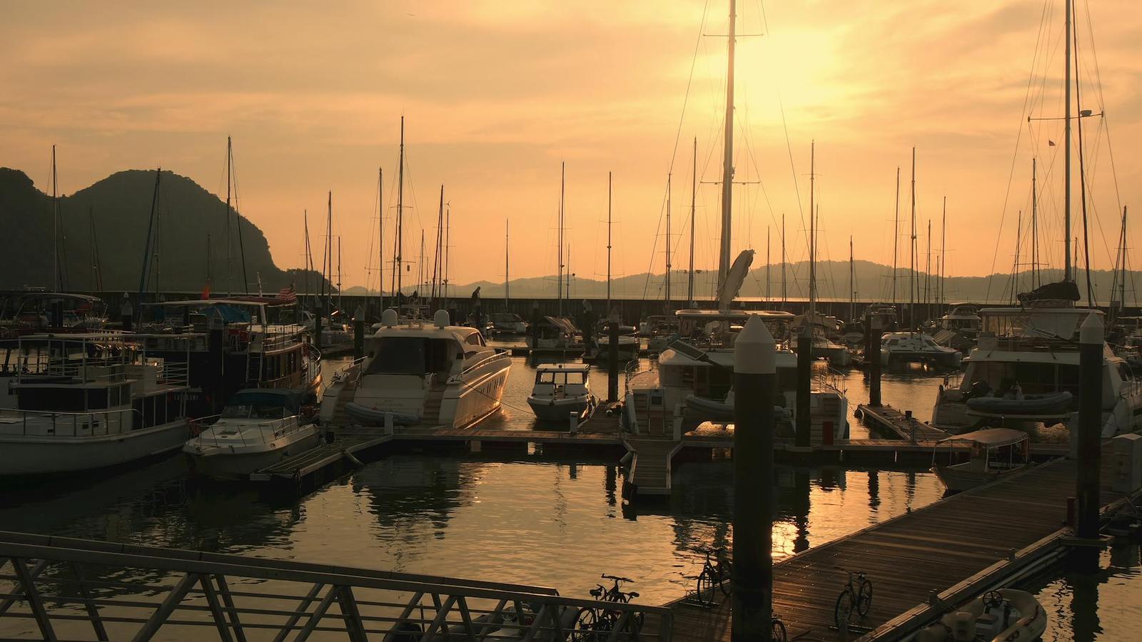Sailboats moored in a marina lit by a golden sunset