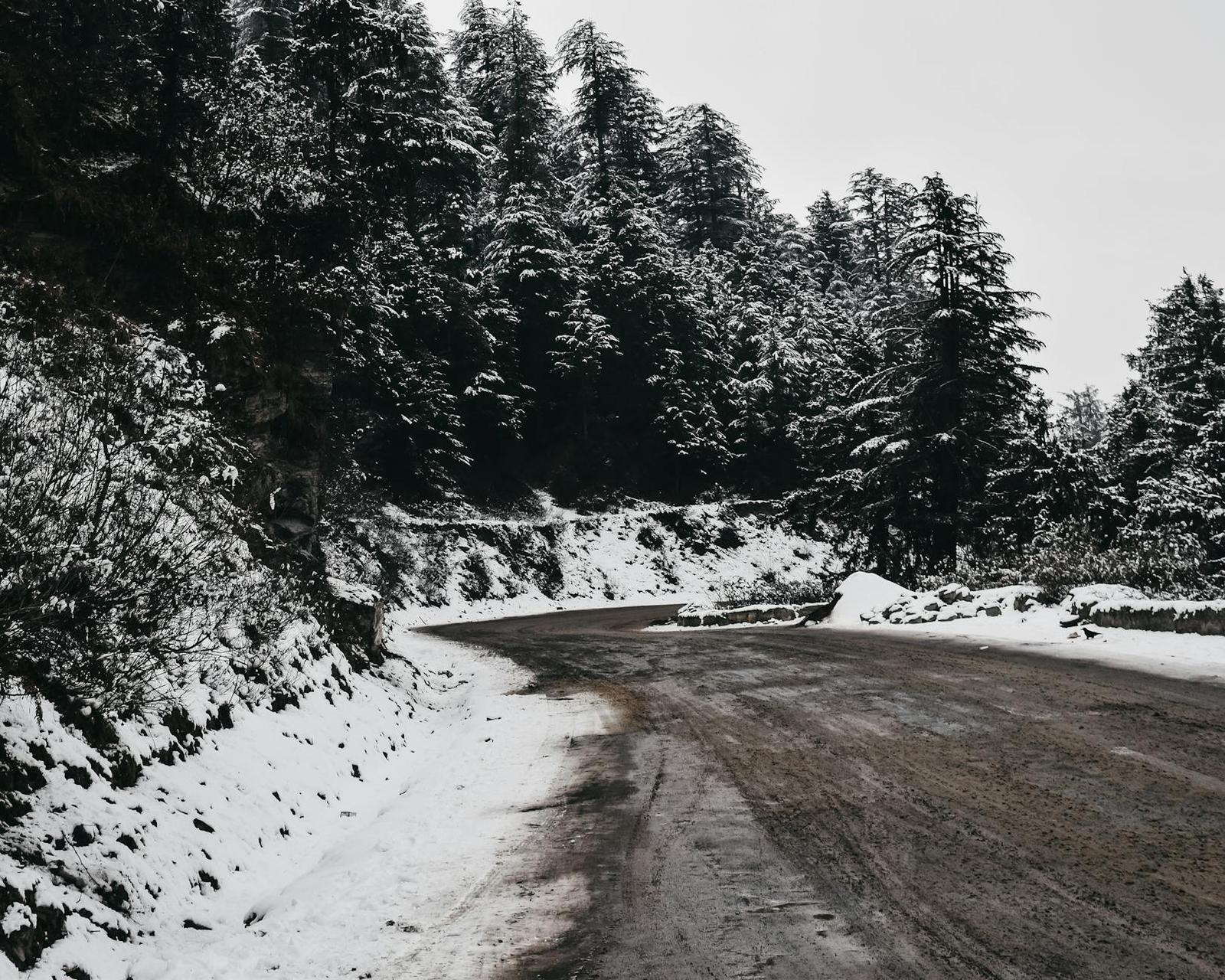 Mall Road — Shimla, India
