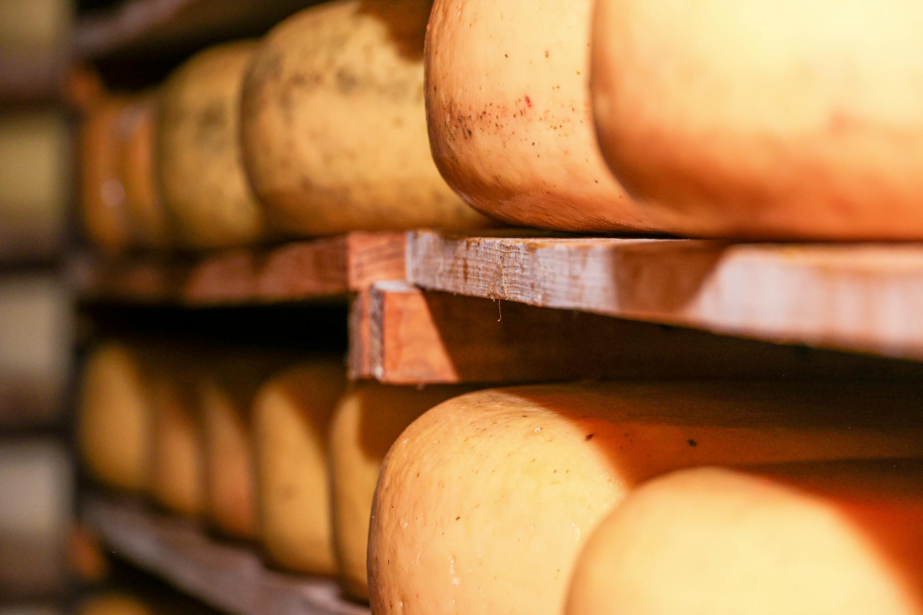 Traditional food of Switzerland + France + Netherlands