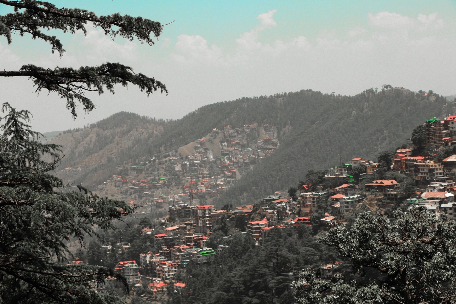 Capture of Shimla's vibrant landscape with hills and dense buildings