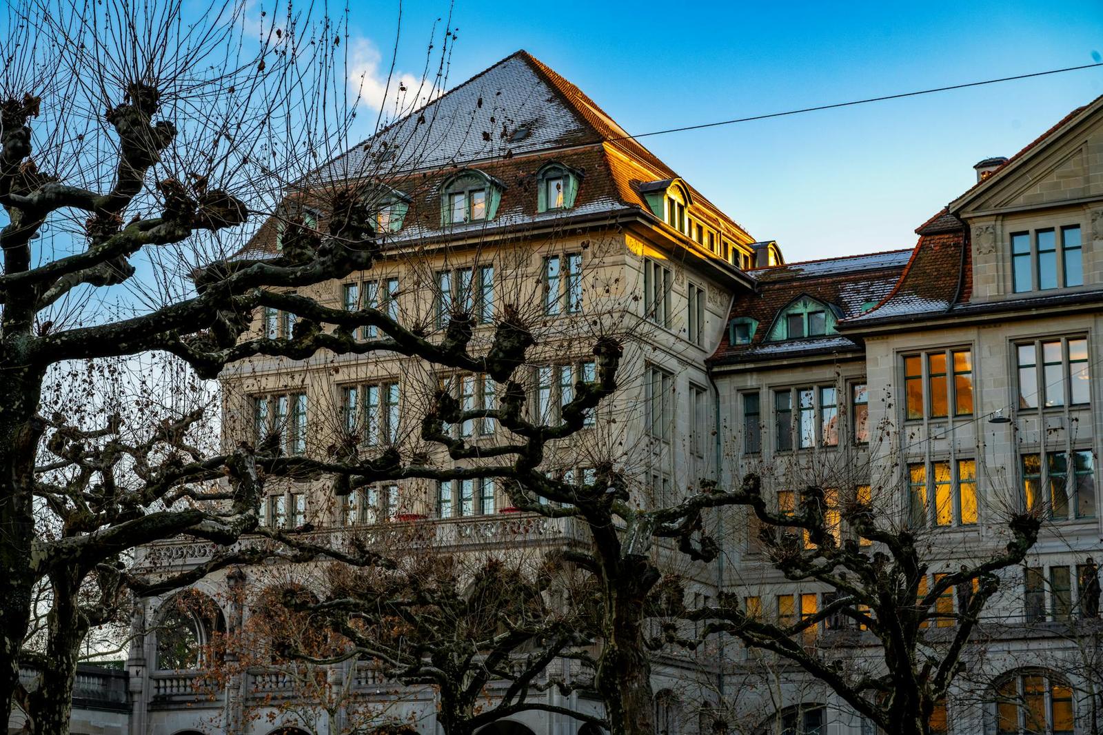 Ornate stone building with lit windows seen through bare tree branches at dusk