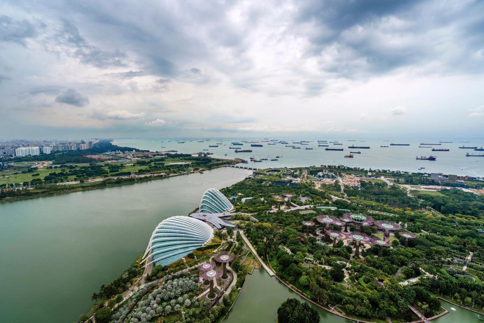 Stunning aerial view of Gardens by the Bay with ships at sea in Singapore