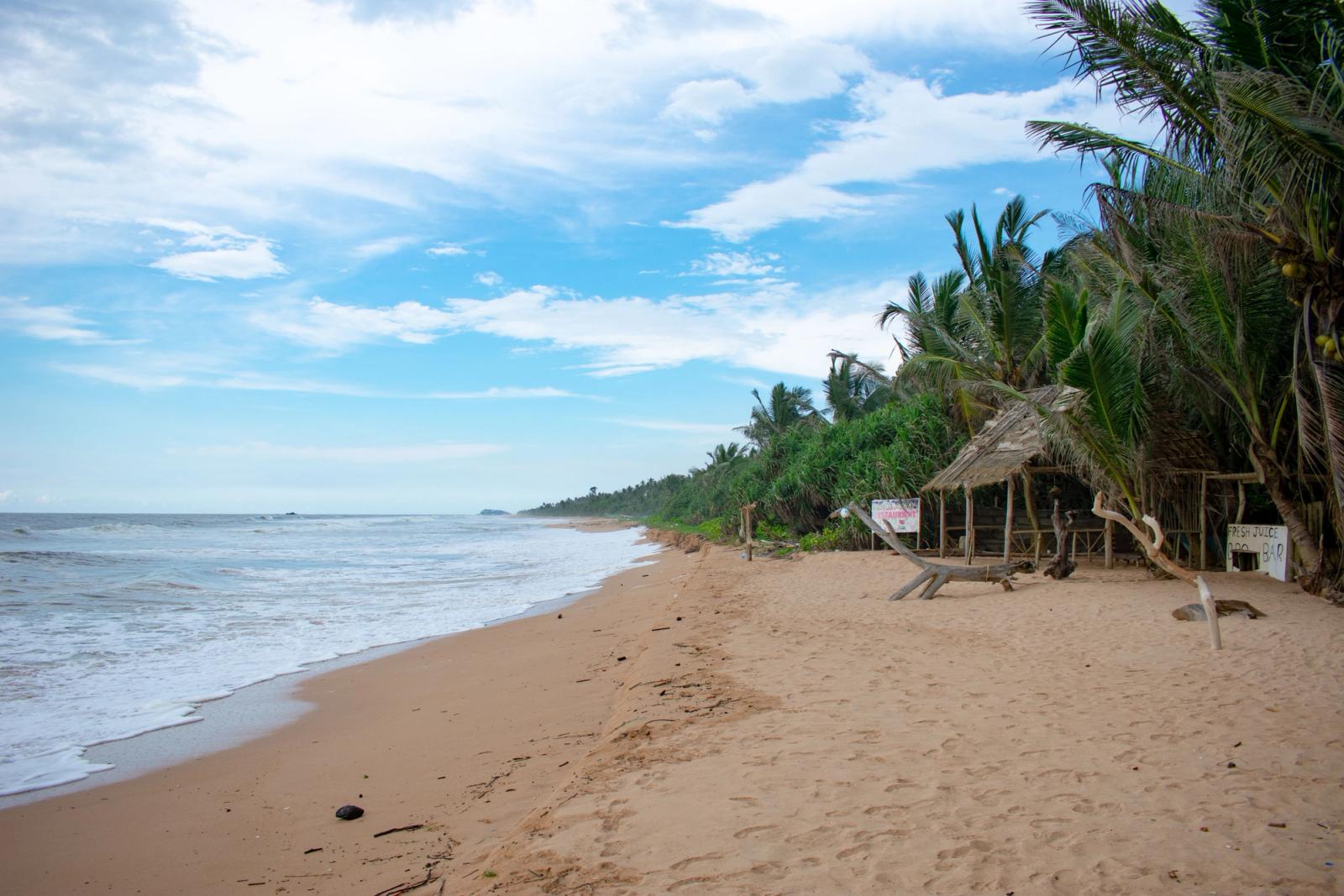 Tranquil beach scene in Colombo, Sri Lanka with palm trees and a rustic hut along a sandy shore