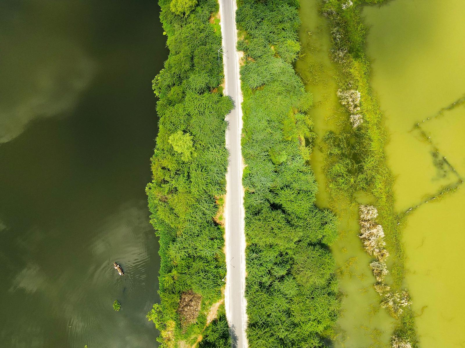 Aerial view of a road cutting through dense green forest by a lake
