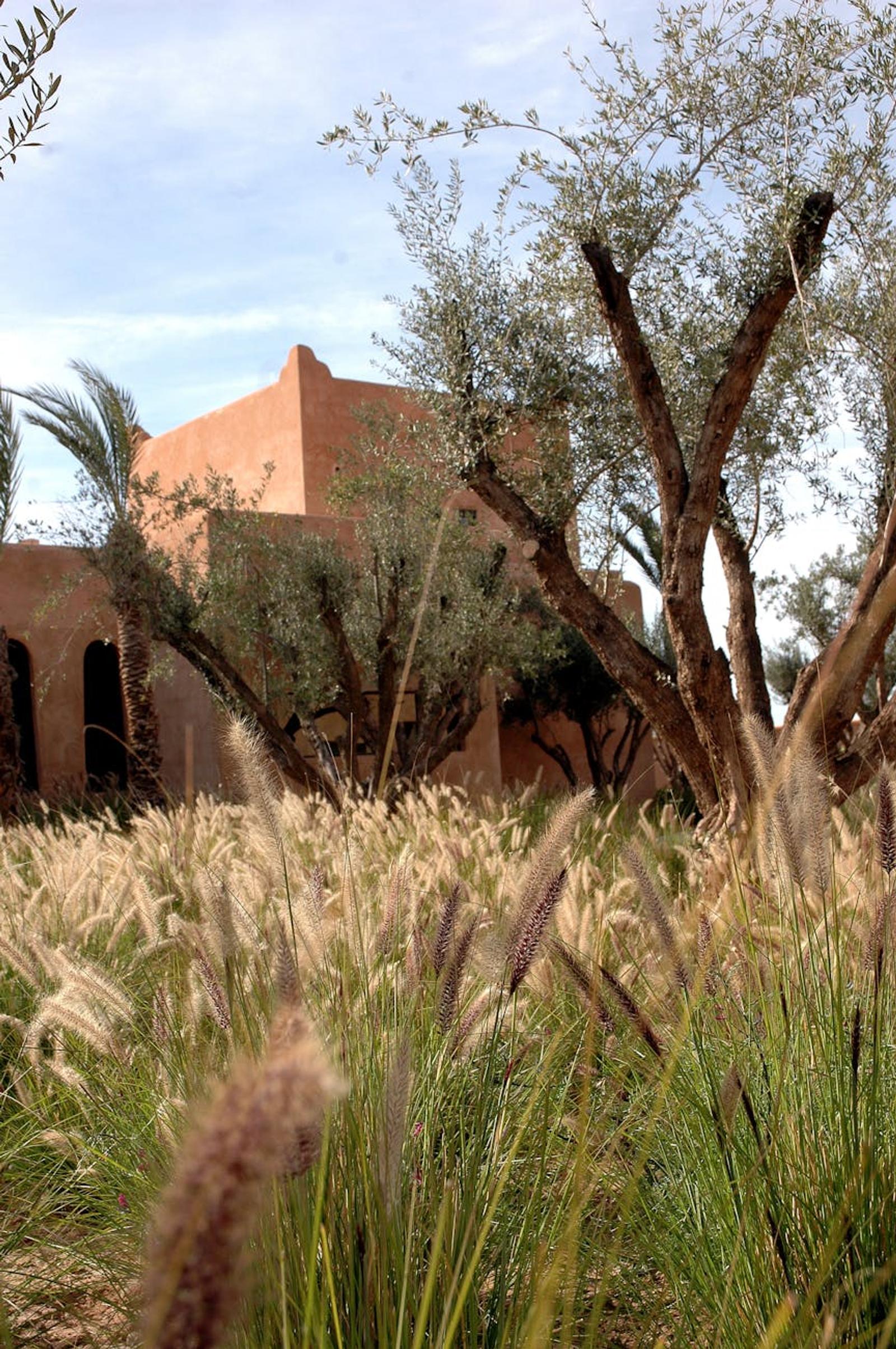 Quarzazate Marrakech — Morocco