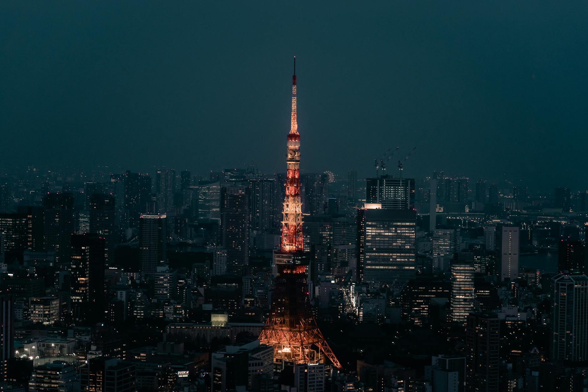 TOKYO FULL DAY CITY TOUR (B) architecture at night
