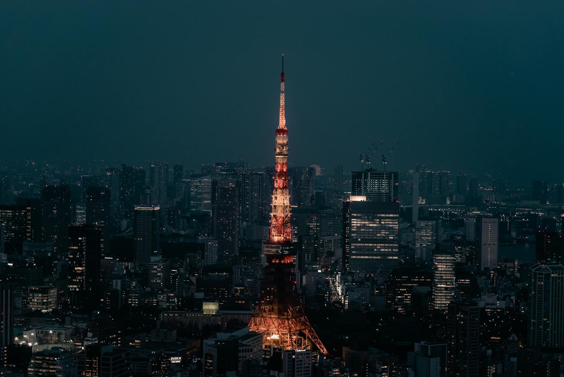 TOKYO FULL DAY CITY TOUR architecture at night