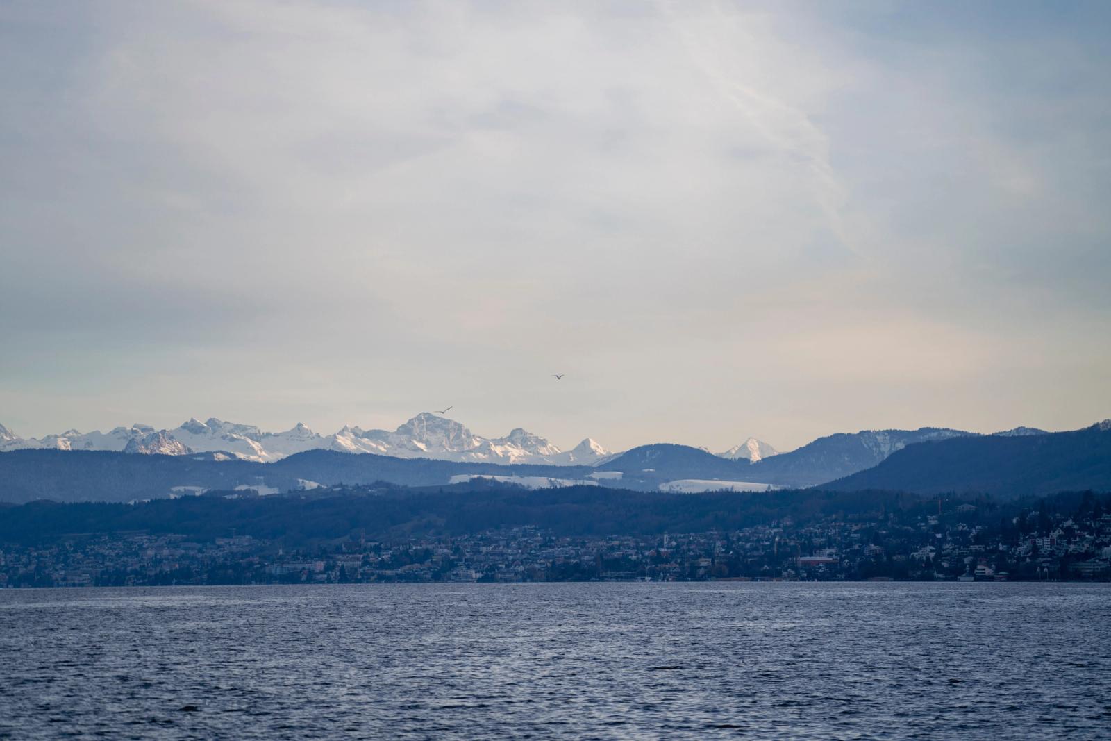 A serene view of snow-capped Swiss Alps with Lake Zurich in the foreground under a clear sky