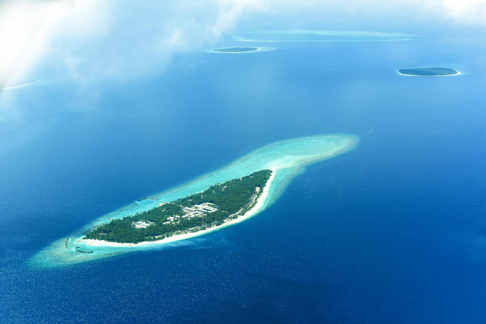 Aerial view of a forested island encircled by a pale reef