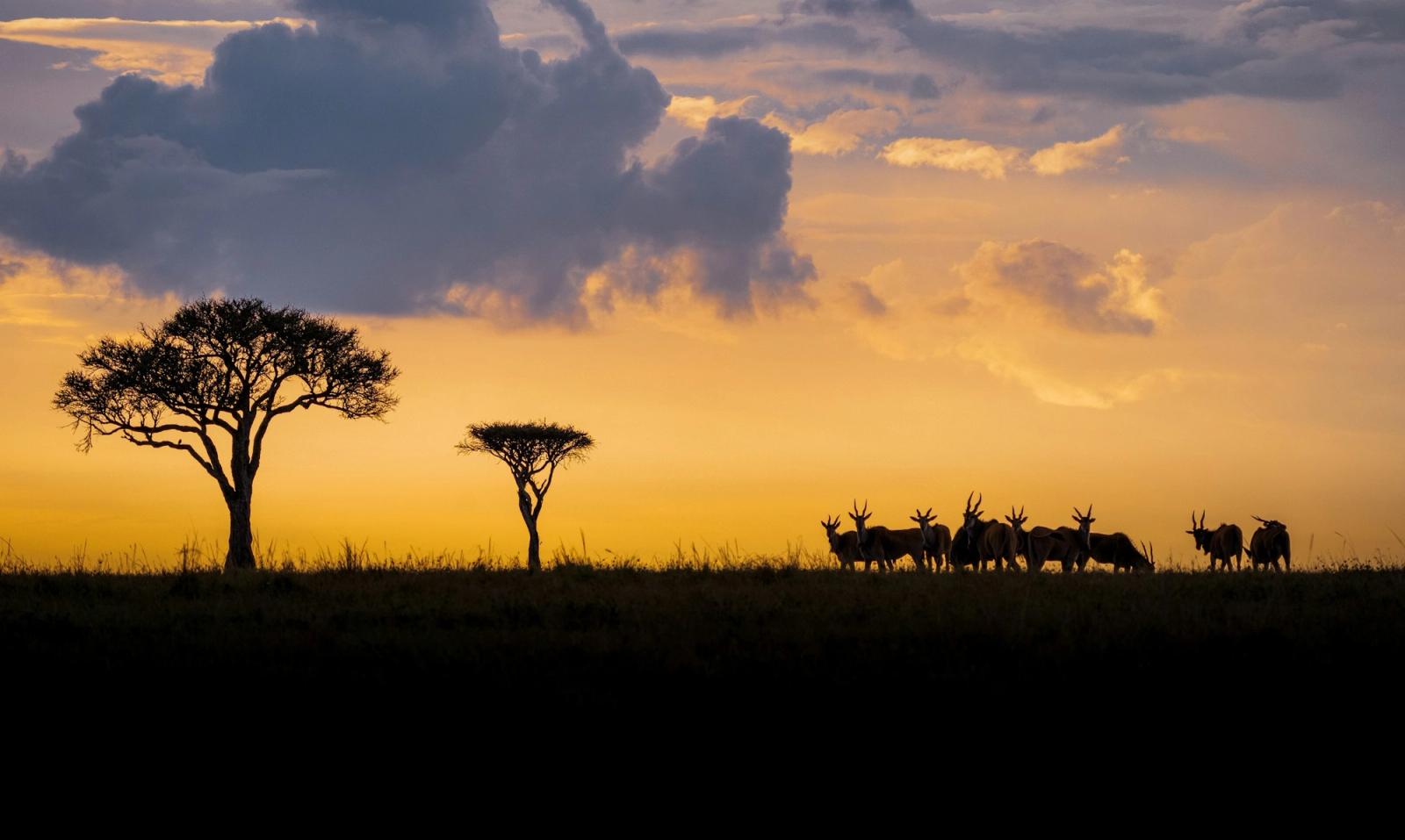 Lake Nakuru to Masai Mara – 4 hr 225 km, Kenya