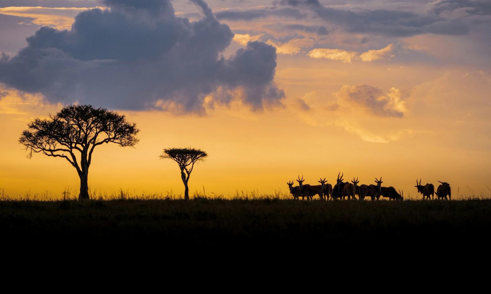 Lake Nakuru to Masai Mara – 4 hr 225 km, Kenya