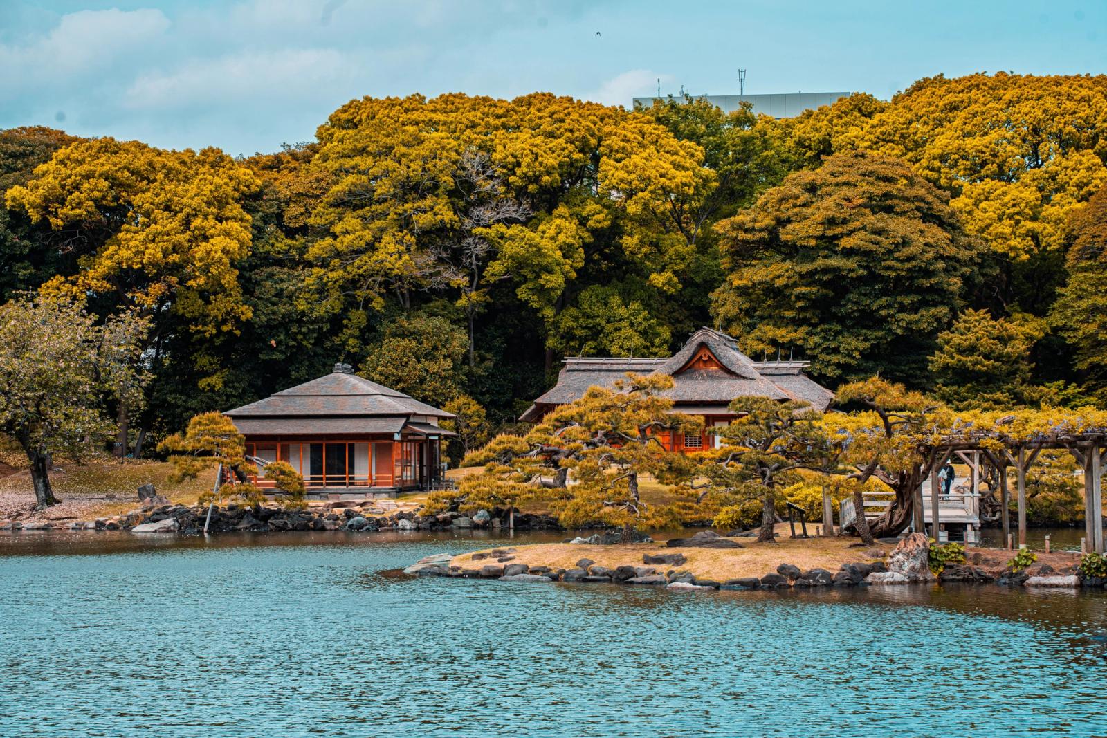 Scenic view of a traditional Japanese garden with serene water and historic wooden architecture in Tokyo
