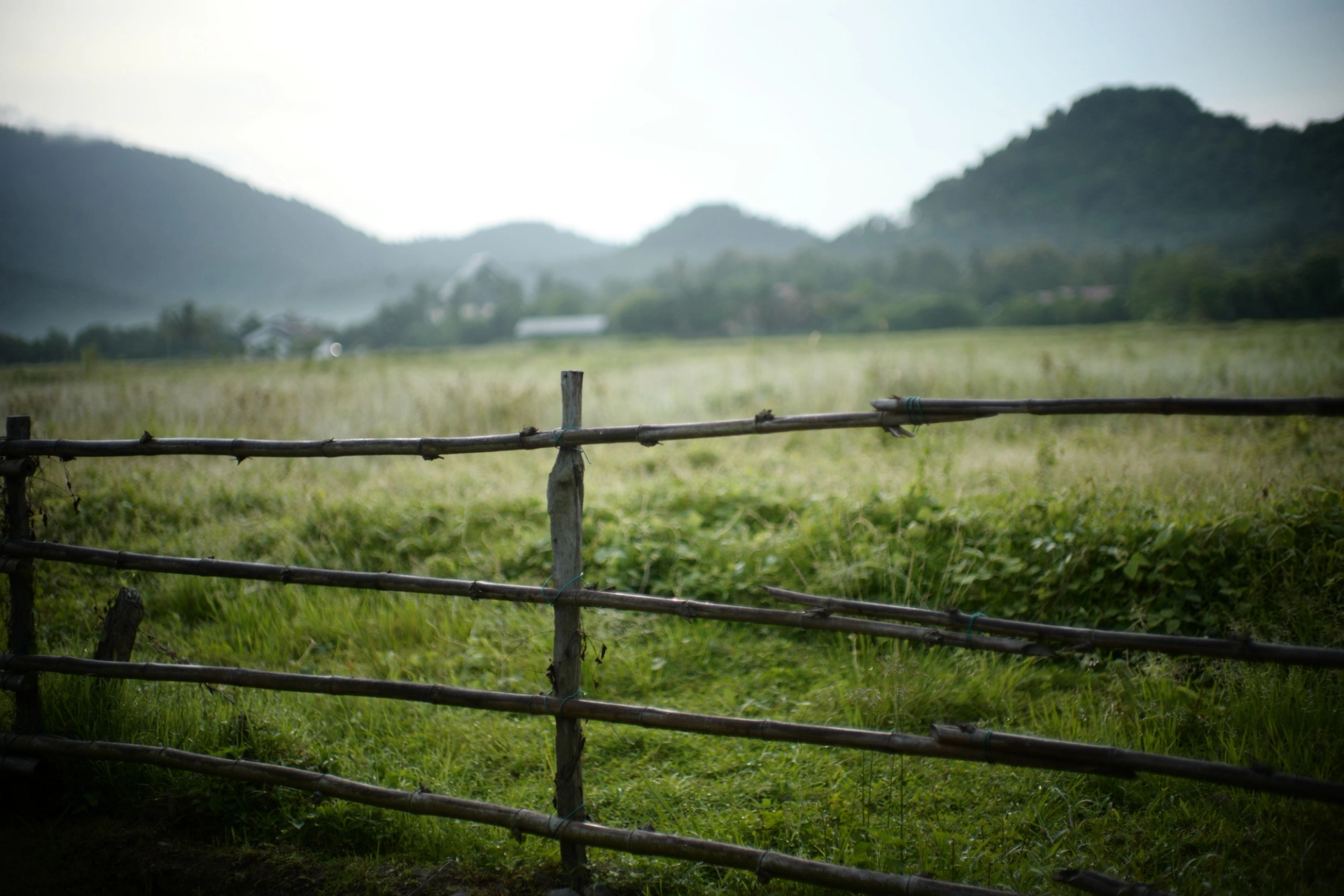 Peaceful rural scene in Langkawi with wooden fence and green fields