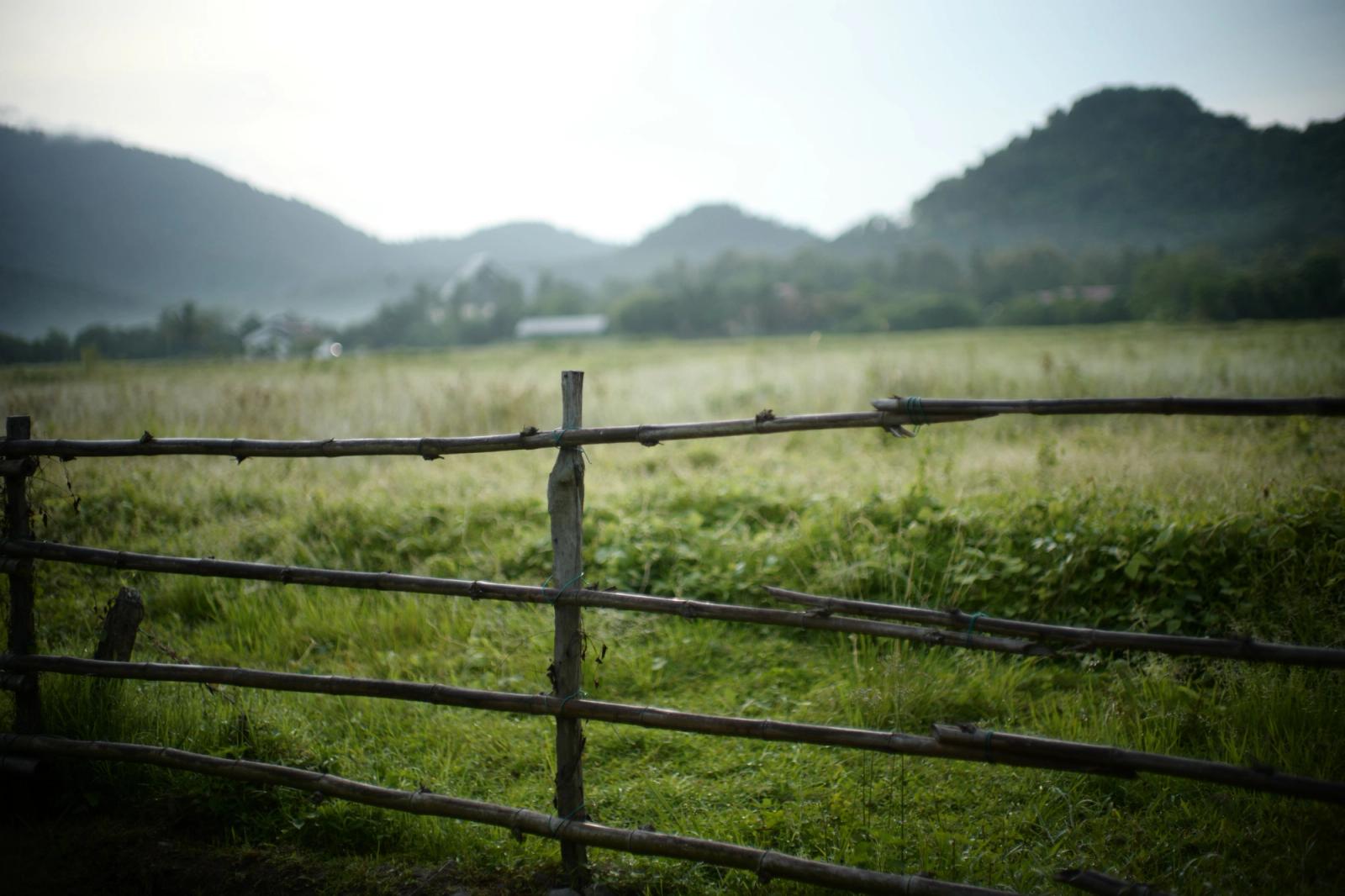 Peaceful rural scene in Langkawi with wooden fence and green fields