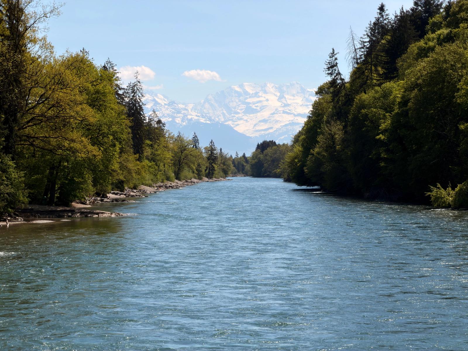 Beautiful river flowing towards the Swiss Alps surrounded by lush greenery on a clear day