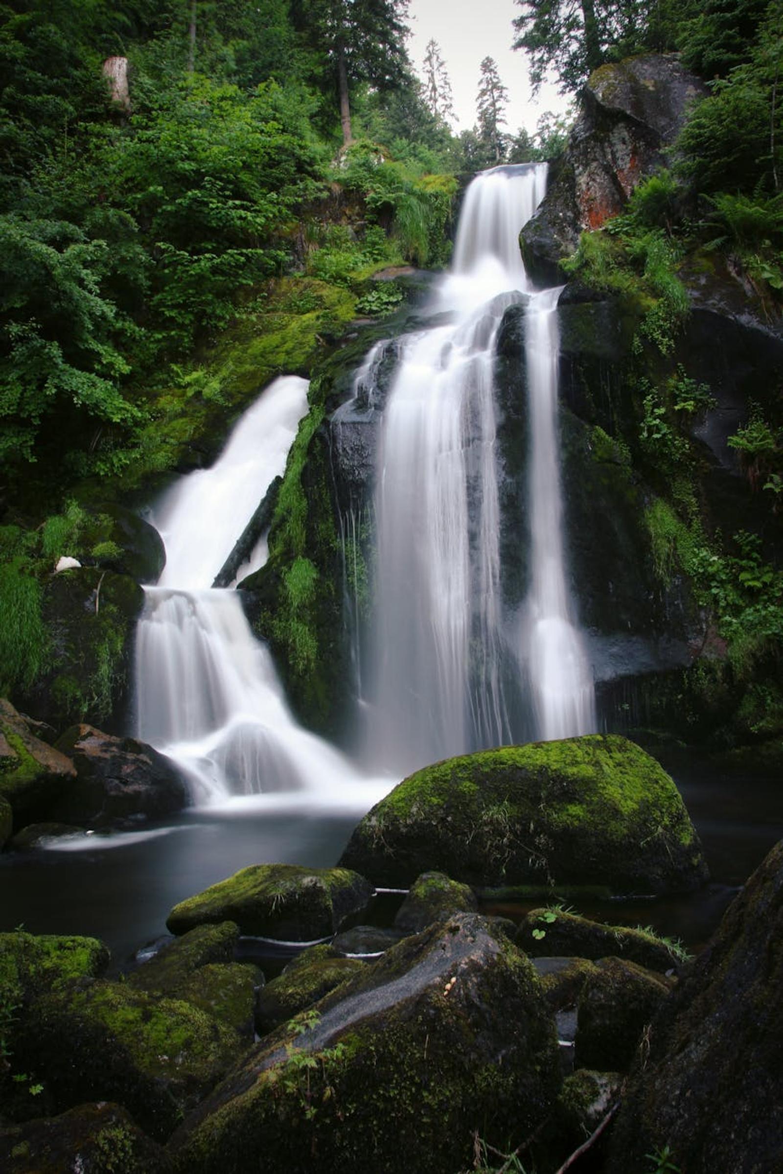 Frankfurt Triberg — Germany