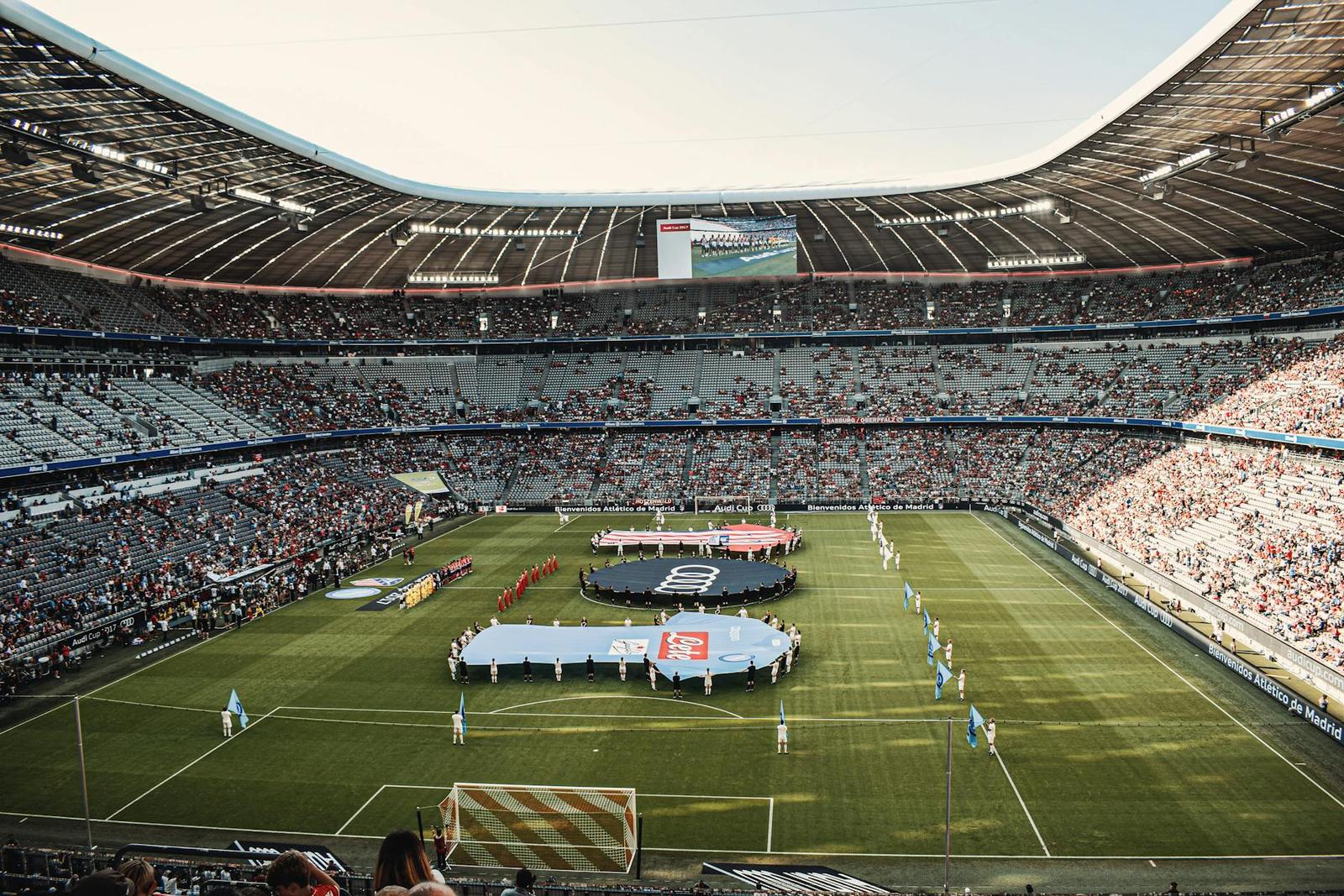 Allianz Stadium, France