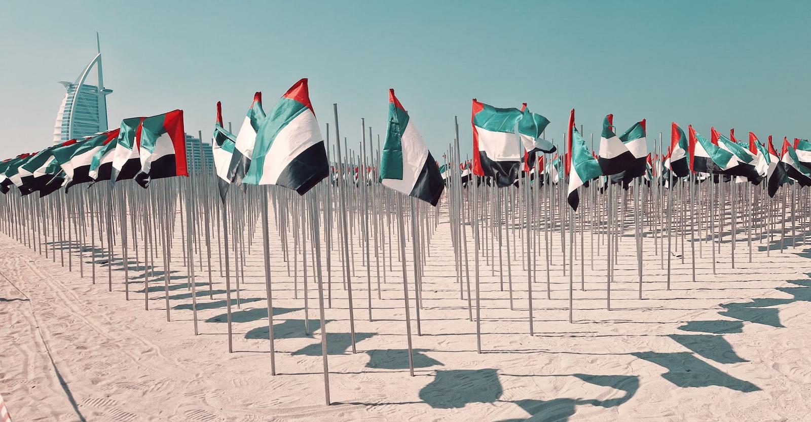 Rows of national flags planted in sand near a coastal skyline