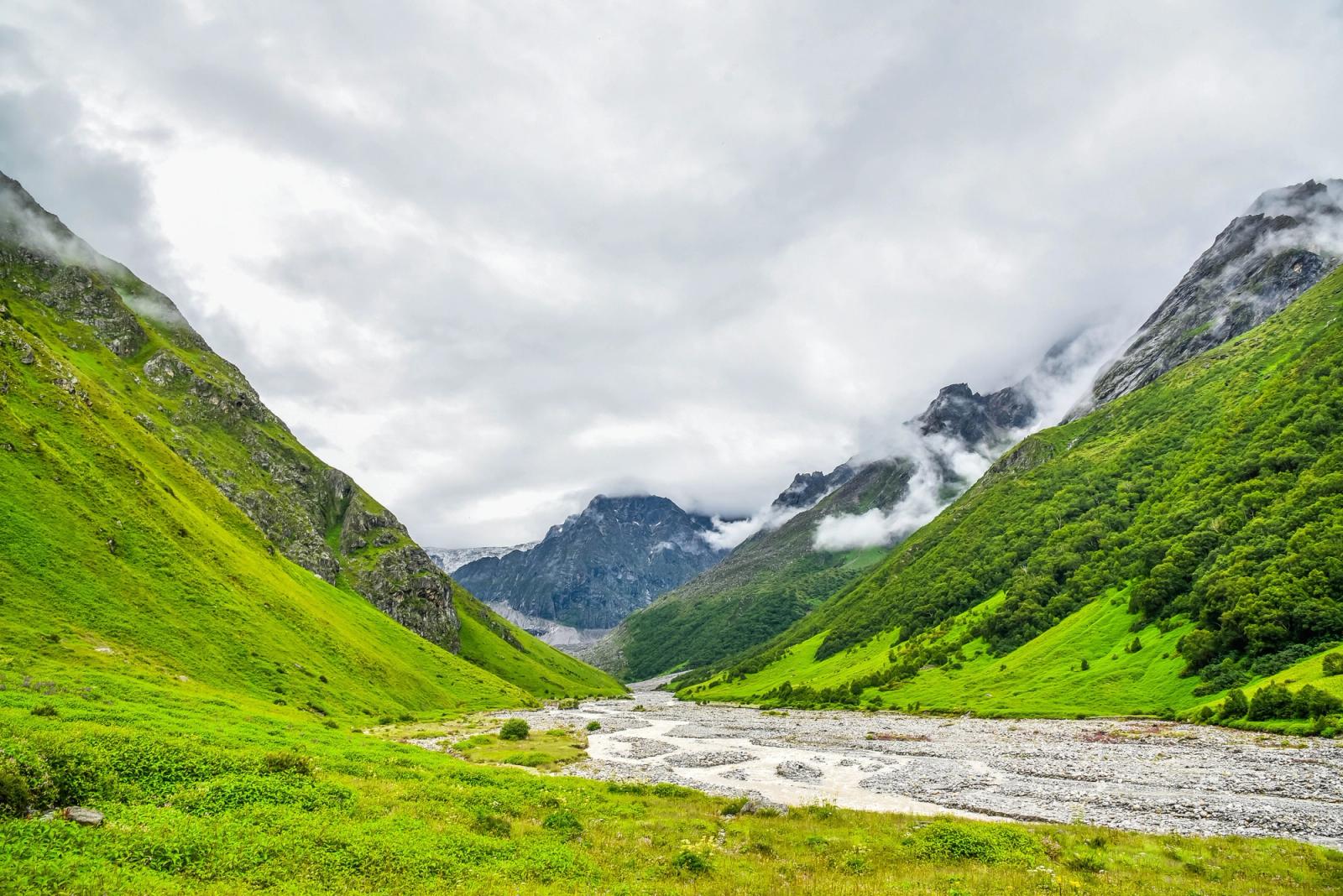 Scenic view of lush green valley with mountains in Uttarakhand, India