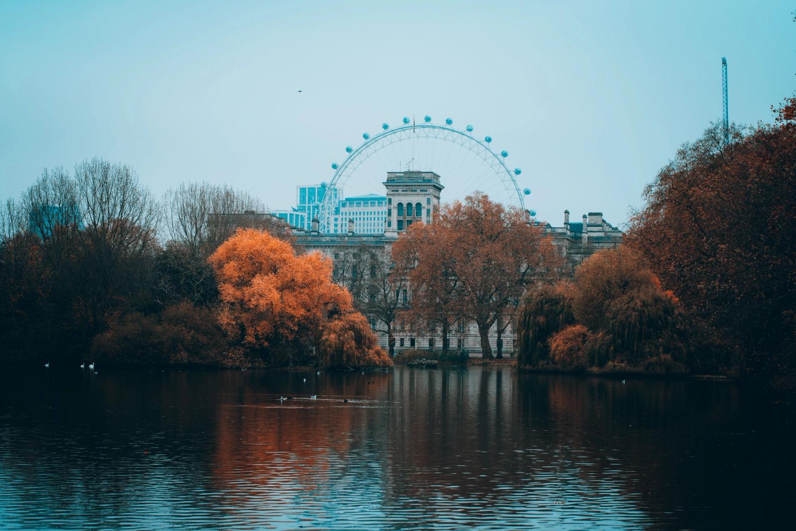 View of the London Eye with vibrant autumn trees reflecting in a serene park lake