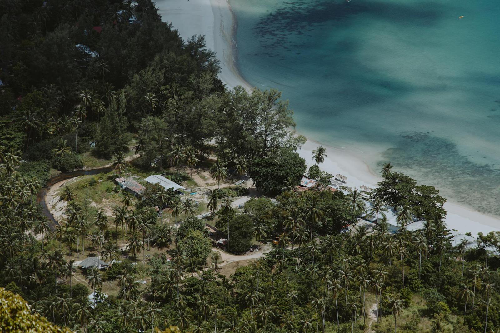 Aerial view of beach bungalows tucked among coconut palms along a cove