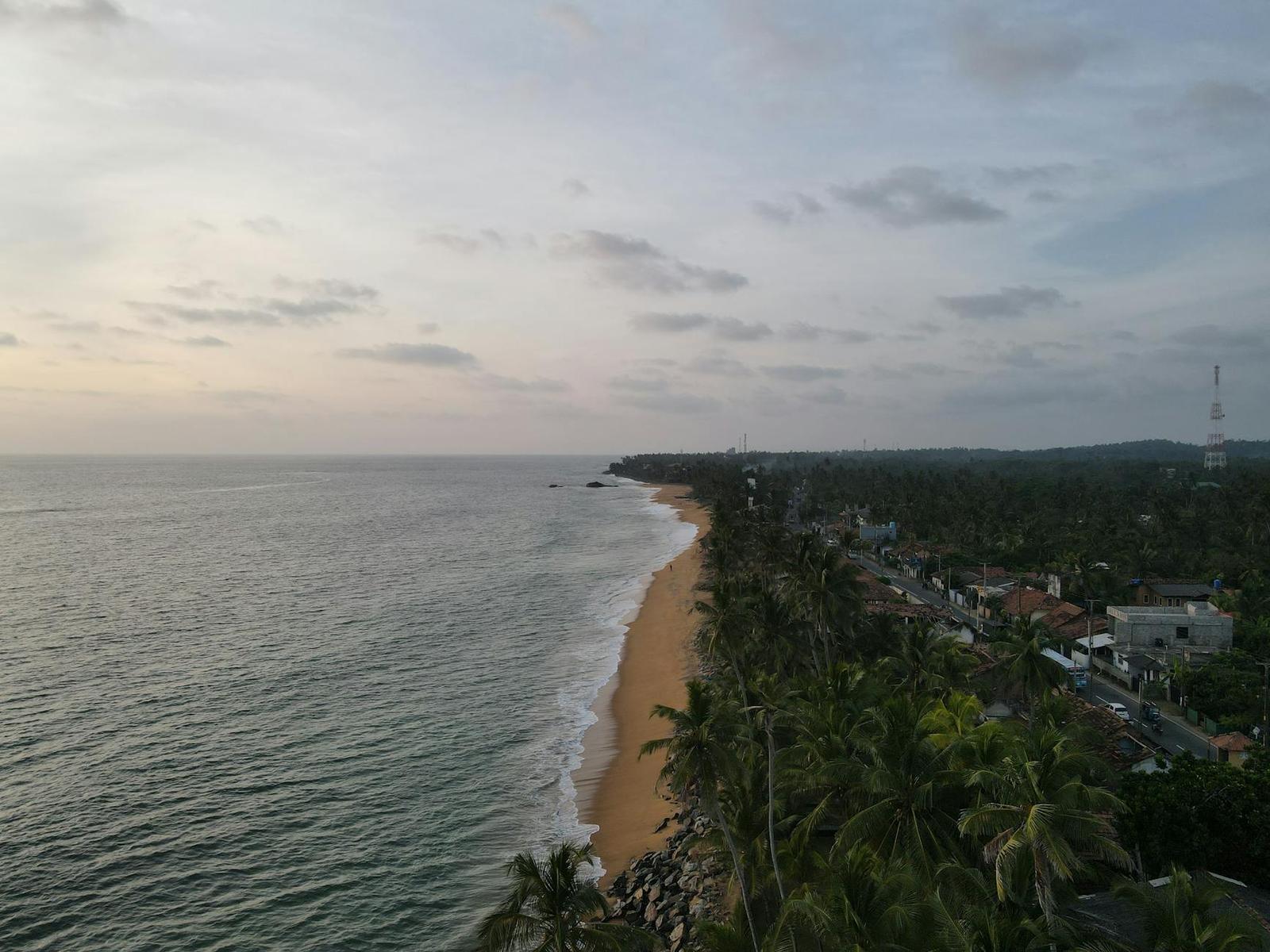 Elevated view of a palm-lined coast at dusk with clouds over the sea