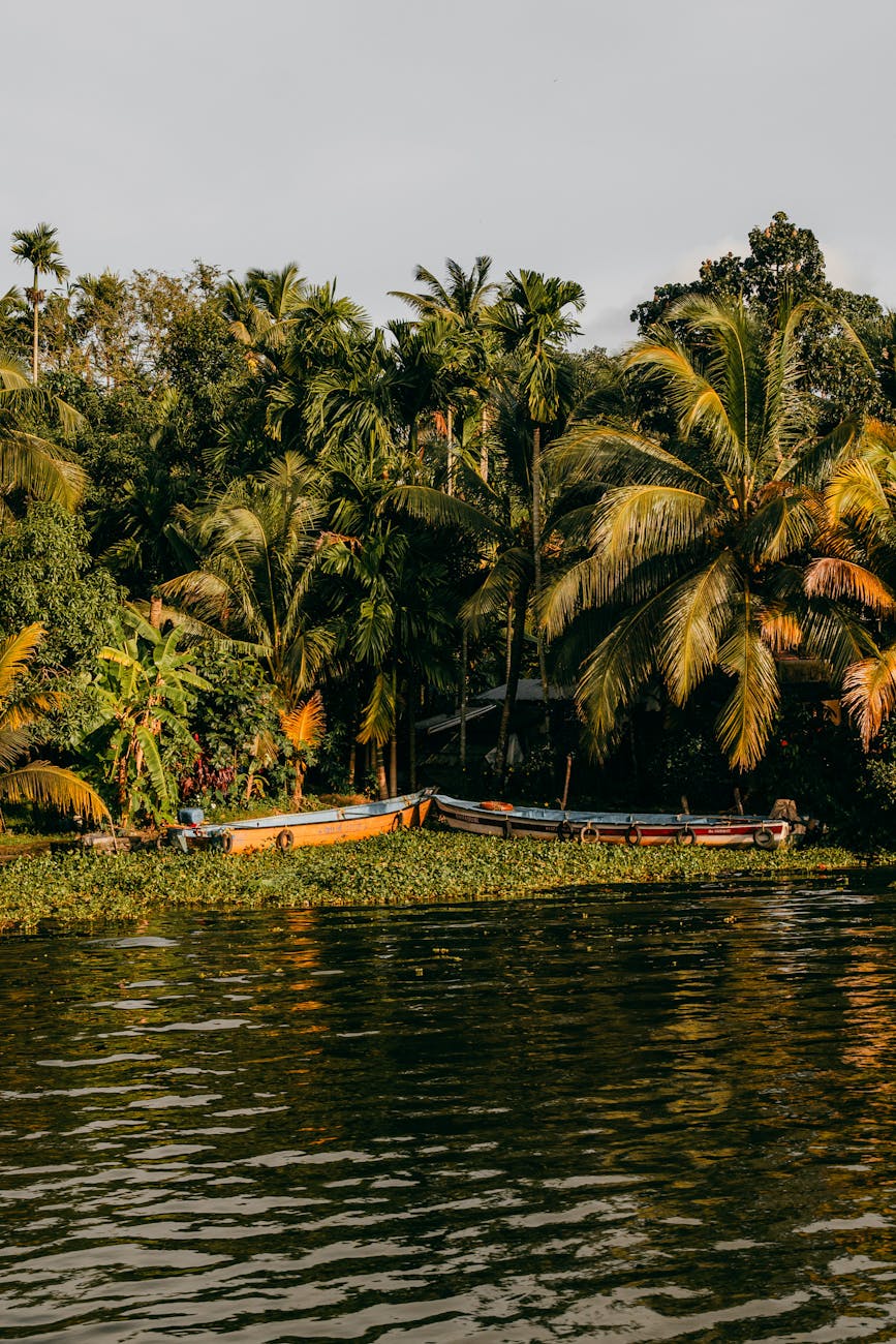 Kerala, India