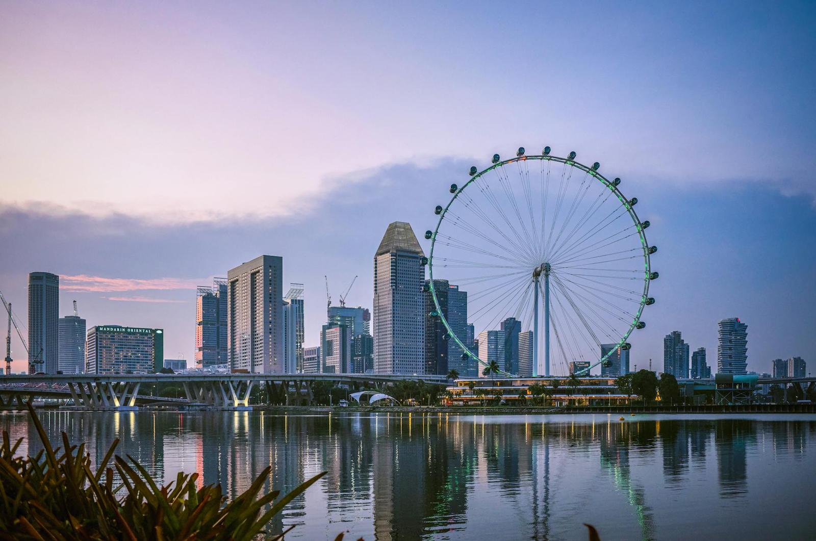 A large ferris wheel beside a city skyline reflected in calm water at dawn